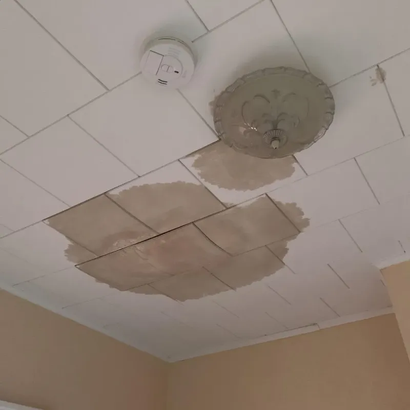 Ceiling Water Damage Repair in Oregon, OH