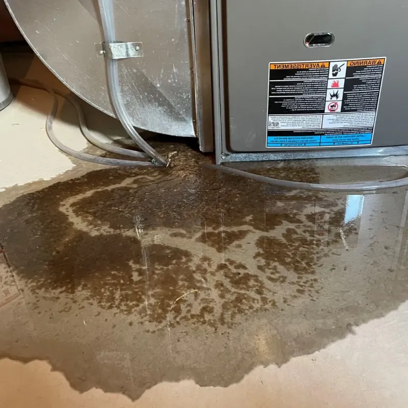 Pipe Burst and Leak Restoration in Oregon, OH