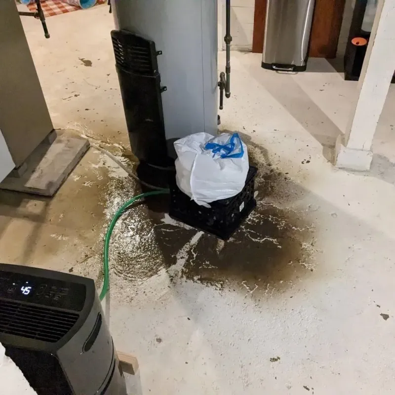 Sewage Backup Cleanup Service in Oregon, OH